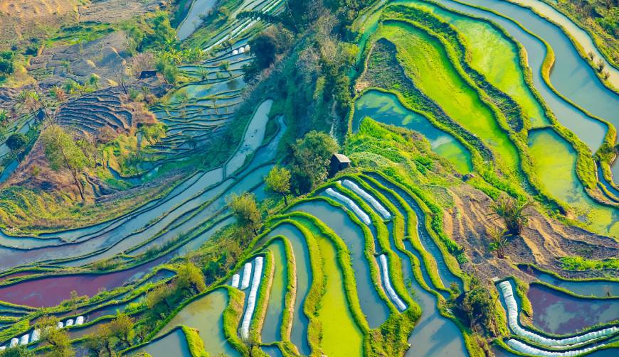 宝妈必备神器：岚山区产品视频拍摄轻松育儿好帮手