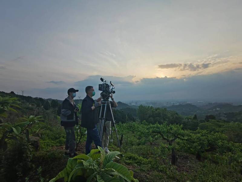 创意破圈！岚山区电商产品宣传视频用故事化叙事引爆流量