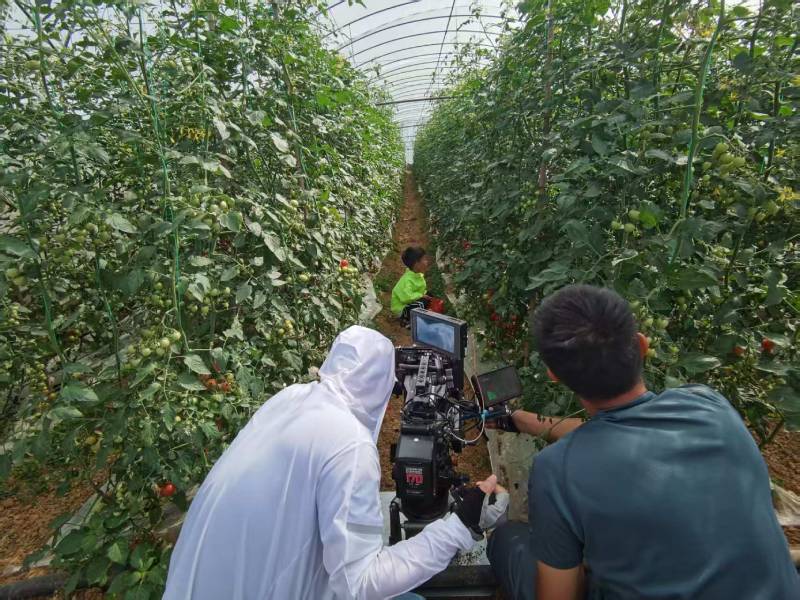 岚山区产品宣传视频拍摄公司进阶指南，助力品牌抢占传播高地